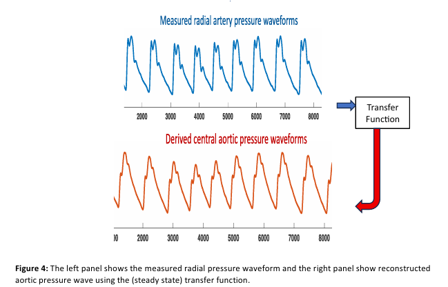 <p>Can u describe this image</p>