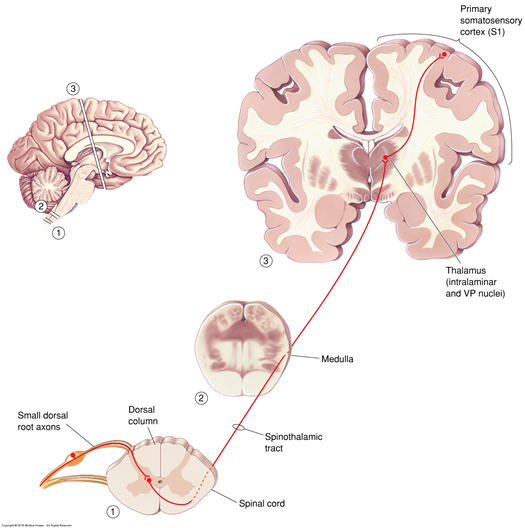 <p>What is this pathway?</p>