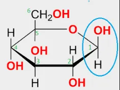 <p>2</p>