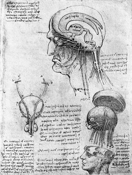 <p>Leonardo da Vinci</p>
