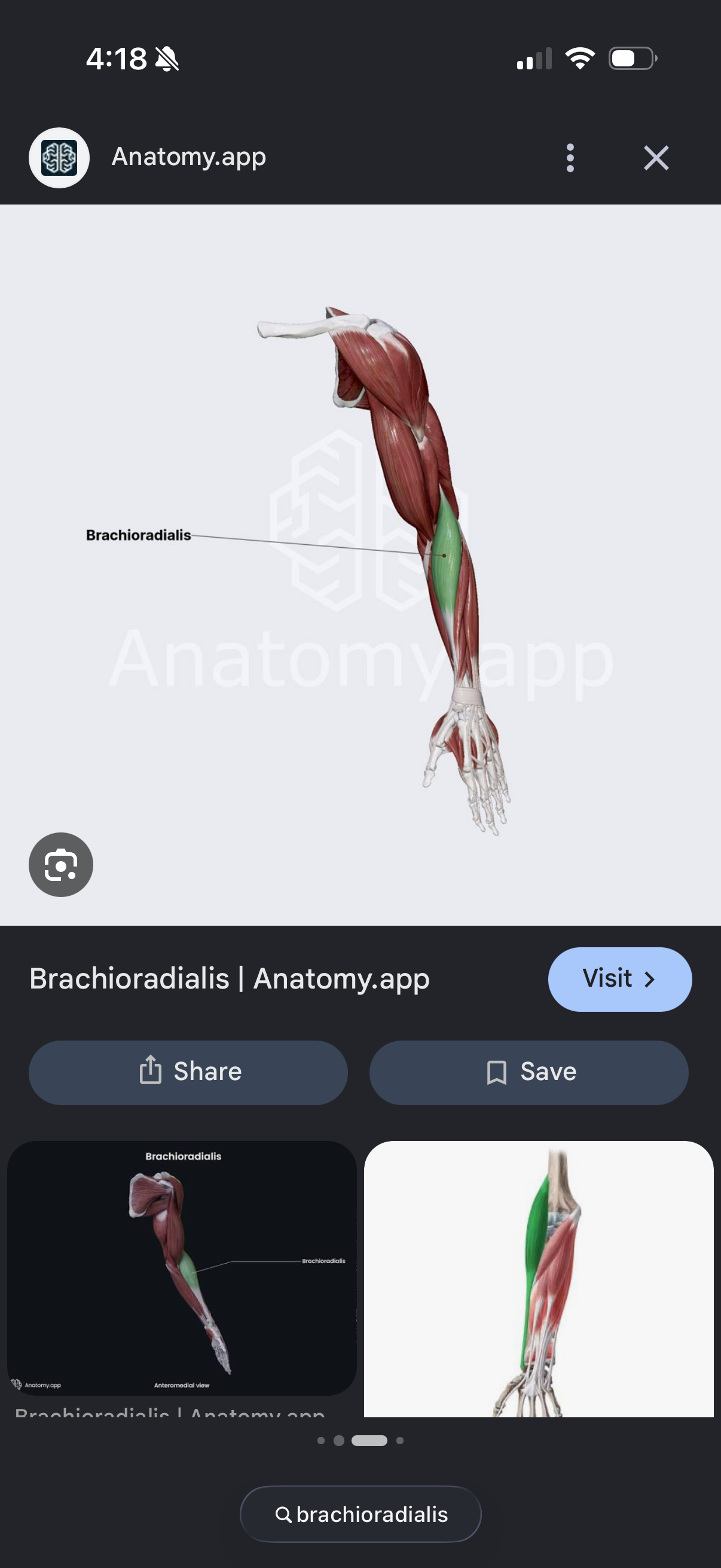 knowt flashcard image