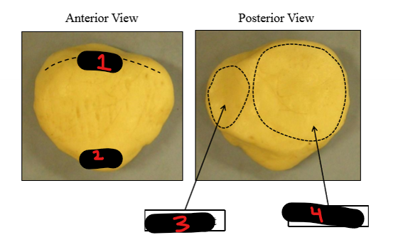 <p>2</p>
