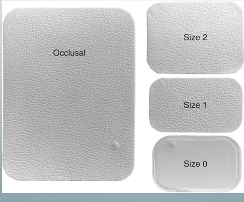 <p>-4 sizes for intraoral views</p><p>-mainly use size 2 for PA and BW</p><p>-sizes 0 and 1 for kids</p><p>-no occlusal sensors because they are too expensive</p><p>-choose size that will capture the site of interest in its entirety</p>