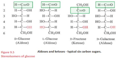 <p><strong>Aldoses and ketoses</strong></p>