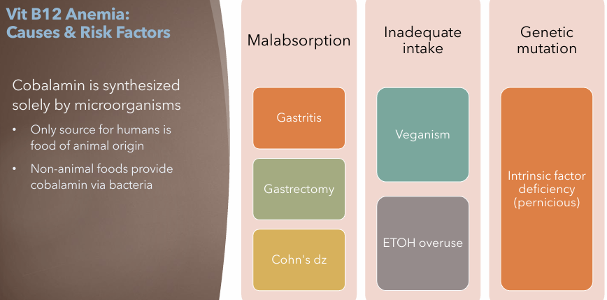 <ul><li><p>Inadequate intake</p></li><li><p>Malabsorption</p></li><li><p>Genetic Mutation</p><ul><li><p>Intrinsic factor deficiency (pernicious)</p></li></ul></li></ul><p></p>