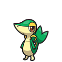 <p>Serpifeu</p>