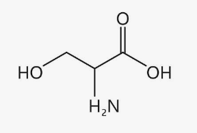 <p>What is this amino acid? </p>