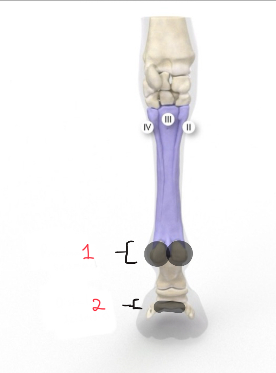 <p>What is purple?; What is 1?; What is 2?</p>