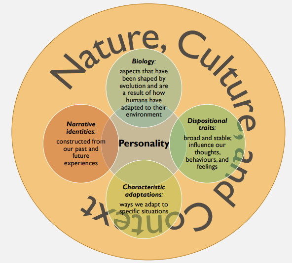 <p>biology</p><p>narrative identities</p><p>disposition traits</p><p>charaterisitc adaptions</p><p>nature, culture and context</p>