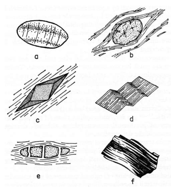 <p>Crystals which were present prior to deformation/metamorphism and were deformed</p>