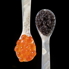 <p>salted eggs of sturgeon fish eaten as a delicacy Example: Expensive black _____ is served at luxury banquets. trứng cá muối u Trứng cá muối đắt đỏ lấy từ cá tầm. UK: /ˈkæv.i.ɑːr/ | US: /ˈkæv.i.ɑːr/</p>