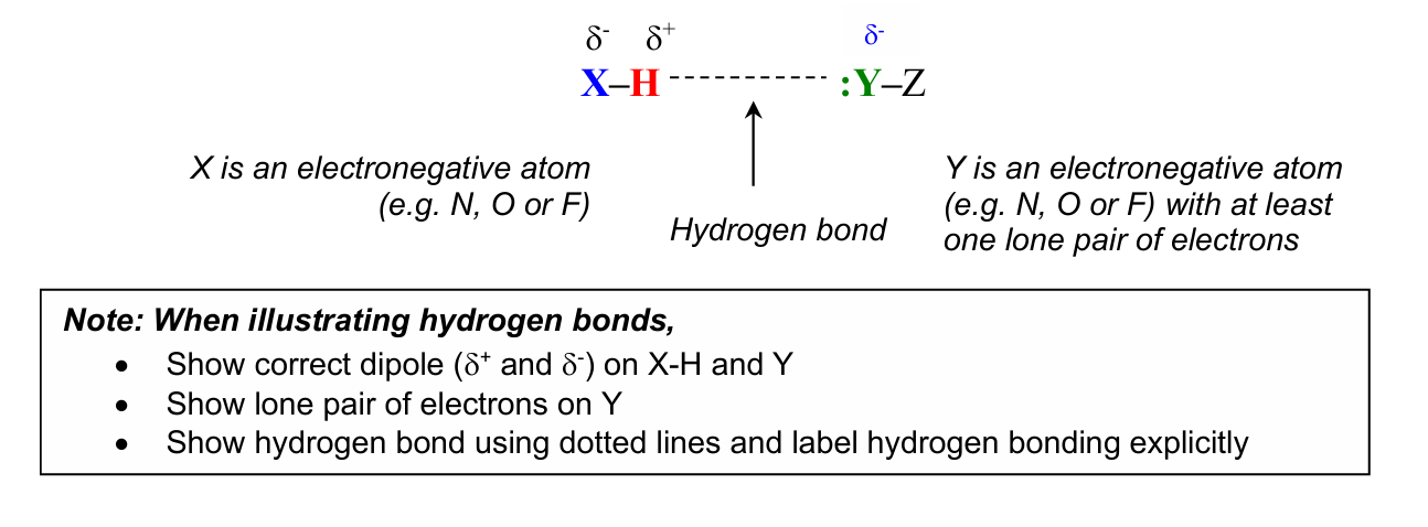 <p>electrostatic forces of attraction between an H atom covalently bonded to a highly electronegative atom (i.e. N, O or F) and a lone pair of electrons on a second highly electronegative atom (i.e. N, O or F)</p><p></p>