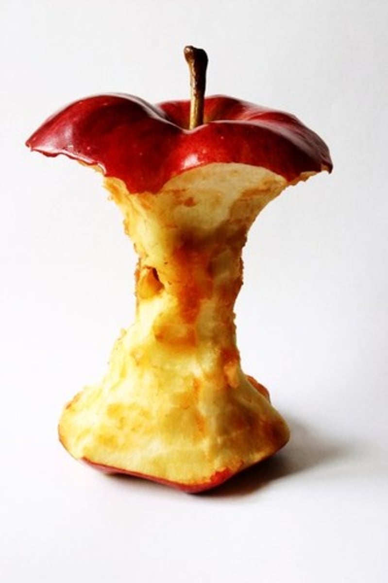 <p>le trognon</p>