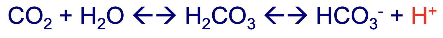 <p>This is the equation for CO2 in the blood - Why does it matter for acid-base balance?</p>