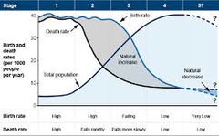 <p>model to explain change from high birth rates and death rates to a condition of low birth rates and death rates; often due to economic growth and social changes</p><p>pre-industrial, transitional, industrial, post industrial</p>