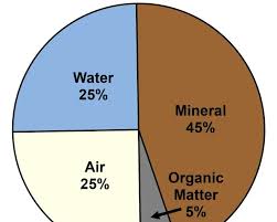 <p>the composition</p>