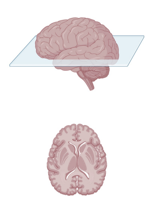 <p>Name this plane</p>