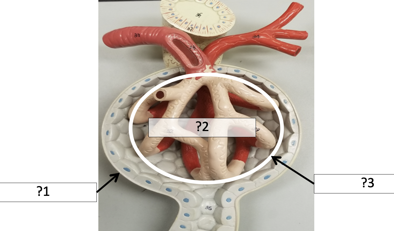 <p>3 Name the space?</p>