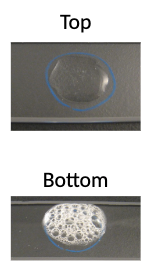 <p>Which is positive, and what does it indicate?</p>