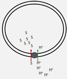 <p>This is showing</p>