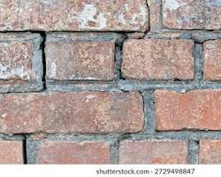 <p>wall</p>