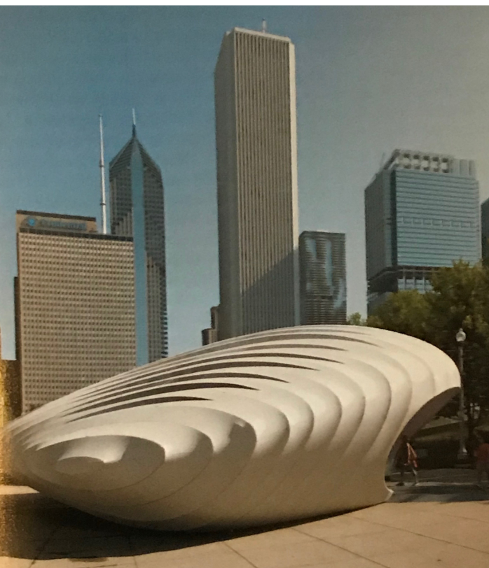 term image