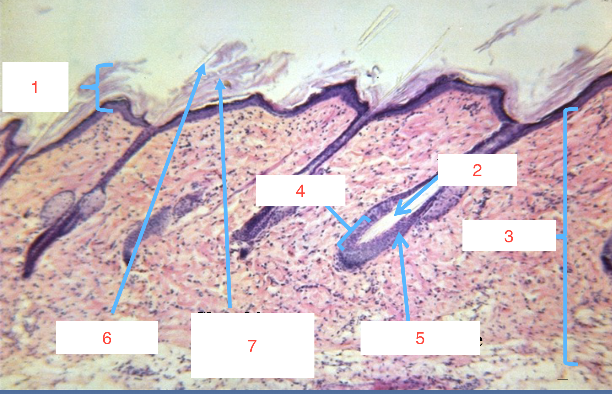 <p>3</p>