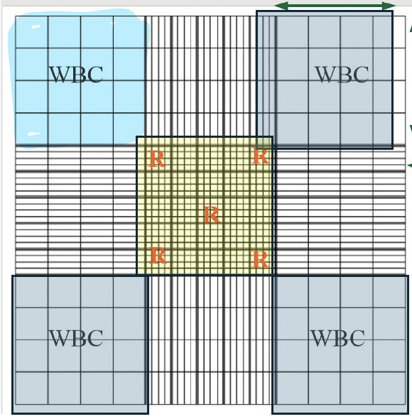 <ul><li><p>describes the grid layout on a hemacytometer</p></li><li><p>each ruled area = 3 mm x 3mm (9mm²)</p><ul><li><p>central square: 1mm² divided into 25 large squares each with 16 small squares - RBCs &amp; PLTS @ 40x</p></li><li><p>four corner squares: each 1mm² with 16 small squares - WBCs @ 10x</p></li><li><p>each large square represents a volume of 0.1mm³ or 0.1uL</p></li></ul></li></ul><p></p>