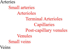 <p>Transport oxygenated blood away from the heart to the capillaries.</p>