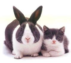 <p>a sequence of events happening together that although accidental seems to have been planned or arranged</p>