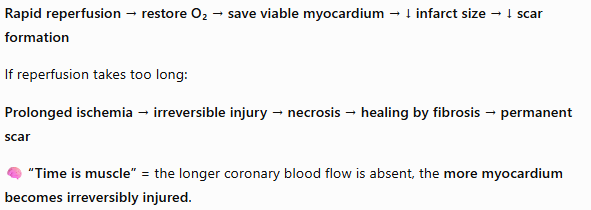<ul><li><p><span style="background-color: transparent; font-family: "Times New Roman", serif;">In a patient with a "red infarct," blood has re-entered an area of necrosis (often after a clot dissolves), giving the tissue a dark red appearance. </span></p></li><li><p><span style="background-color: transparent; font-family: "Times New Roman", serif;">The goal of emergency medicine is to minimize the <strong>time to reperfusion</strong> to save as much of the penumbra (viable if perfusion is quick) as possible before it turns into a permanent scar.</span></p></li></ul><p></p>