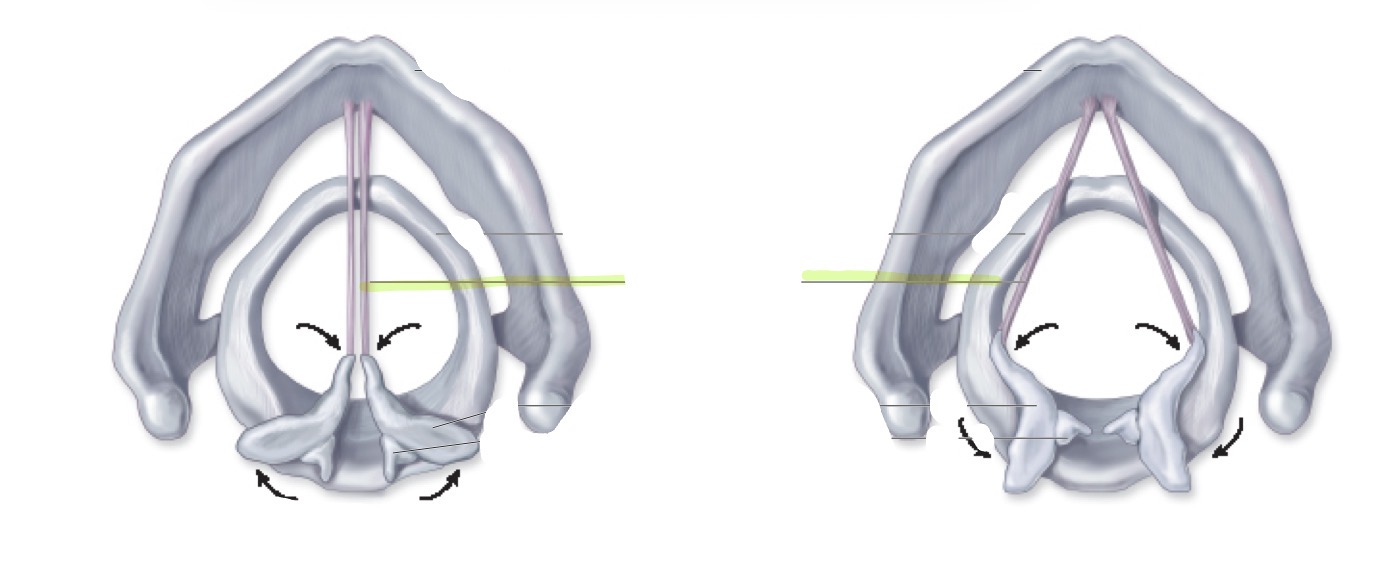 <p>what is this </p>