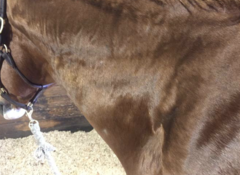<p>How would you describe this soft tissue change?</p>