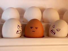 <p>/ɪnˈtɒl.ər.ənt/ (adj) - Cố chấp, hẹp hòi, không khoan dung. Ví dụ: He is intolerant of opinions different from his own.</p>