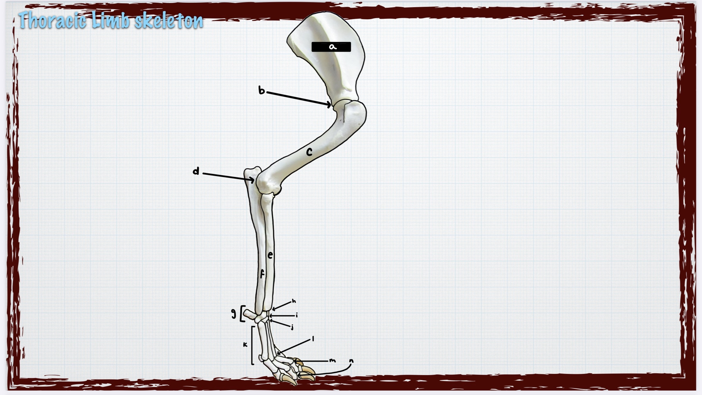 <p>b</p>