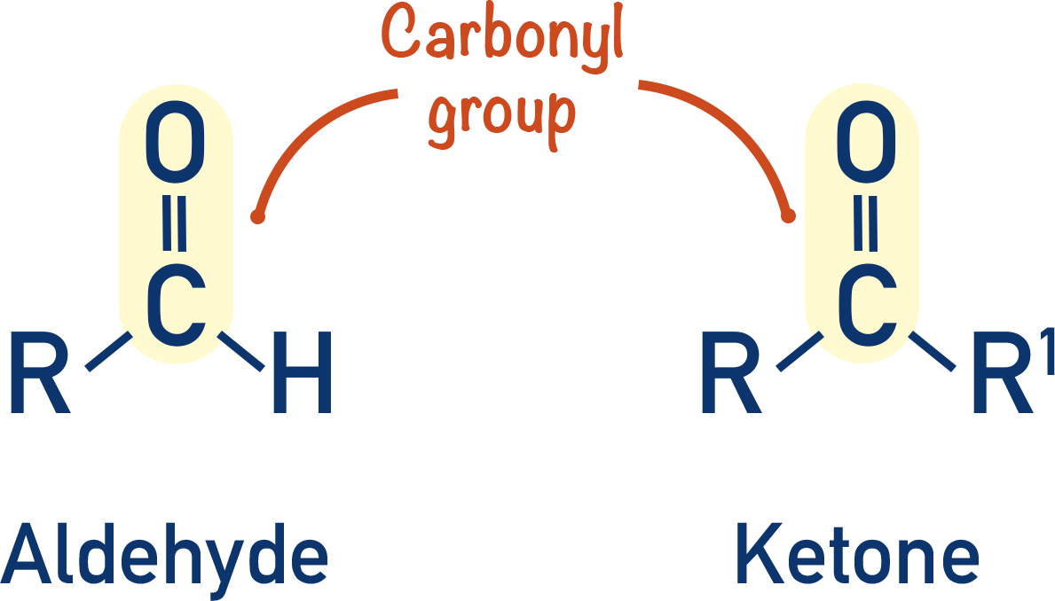 <p>A functional group where a carbon atom is single-bonded to an R, R' (forming covalent bonds with two other carbon atoms) and double-bonded to oxygen. Found in steroids, waxes, and proteins; it is polar, highly chemically reactive, and forms hydrogen bonds.</p><img src="blob:file:///cc69c1f2-0d4d-43b9-b27a-e59e1614b4cf" data-width="50%" data-align="center" style="display: block; width: 50%; margin-left: auto; margin-right: auto;"><p></p>