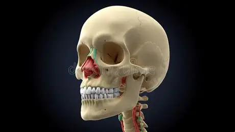 <p>What is this 3D space? (red)</p>
