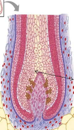 <p>What is this a picture of?</p>