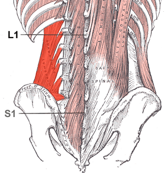<p>action</p>
