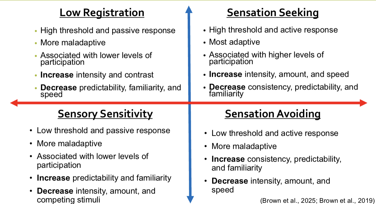 <p>Dunn Model of Sensory Processing</p>