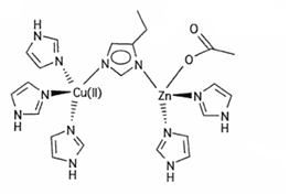 <p>What is the mechanism for copper-zinc superoxide dismutase?</p>
