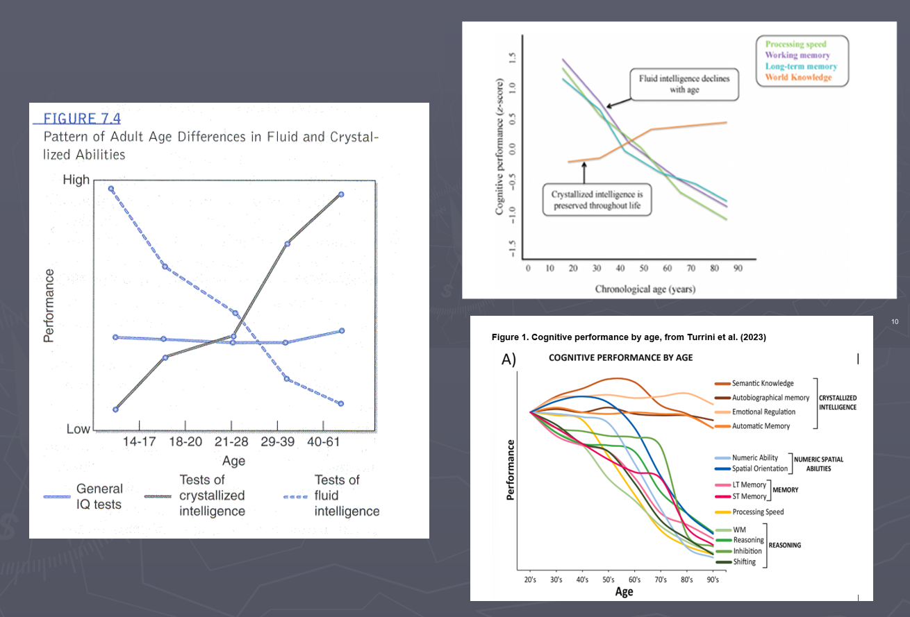 <p>Nadruk op achteruitgang (fluïde intelligentie)</p><ul><li><p>meeste aandacht in onderzoek — niet veel te onderzoeken aan iets dat stabiel is</p></li></ul><p>Crystallized of PRODUKT-aspecten zijn echter ook belangrijk in het <strong>dagelijks leven</strong>: dienen vaak ter compensatie</p><ul><li><p>verwacht dat kennis toeneemt met leeftijd door acummulatie van ervaringen</p></li><li><p>PRODUKTmaat niet vaak onderzocht — vaak enkel geïneresseerd in huidige functioneren bij cognitieve tests</p></li></ul><p></p>