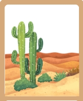 <p><span>A dry area of land that has very little rain.</span></p>