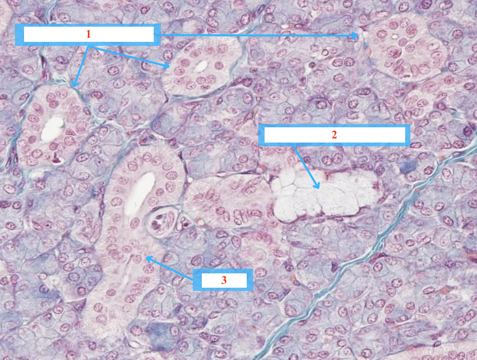 <p>Cấu trúc gì ?</p>