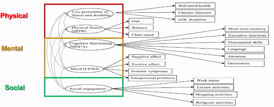 <p><span>diff factors &amp; test what relevant beyond WHO model</span></p><ul><li><p>look at specfic factors w focus cognitive </p></li><li><p>squares = measred &amp; grouped for sucessful aging </p></li></ul><p></p><p></p><ol><li><p>physical</p><ul><li><p><span>low probability of illness and disability</span></p></li><li><p><span>physical fitness (SPPB)</span></p></li></ul></li><li><p>mental (INC impt than physical)</p><ul><li><p><span>cognitive functioning (MOCA)</span></p></li><li><p><span>Mood (CESD)</span></p></li></ul></li><li><p>social</p><ul><li><p>social engagement</p></li></ul></li></ol><p></p>