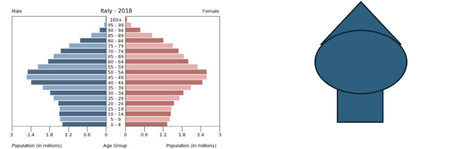 <p>Has a “bubble” where there were more reproductive individuals than offspring at some point (least number of young ages)</p>