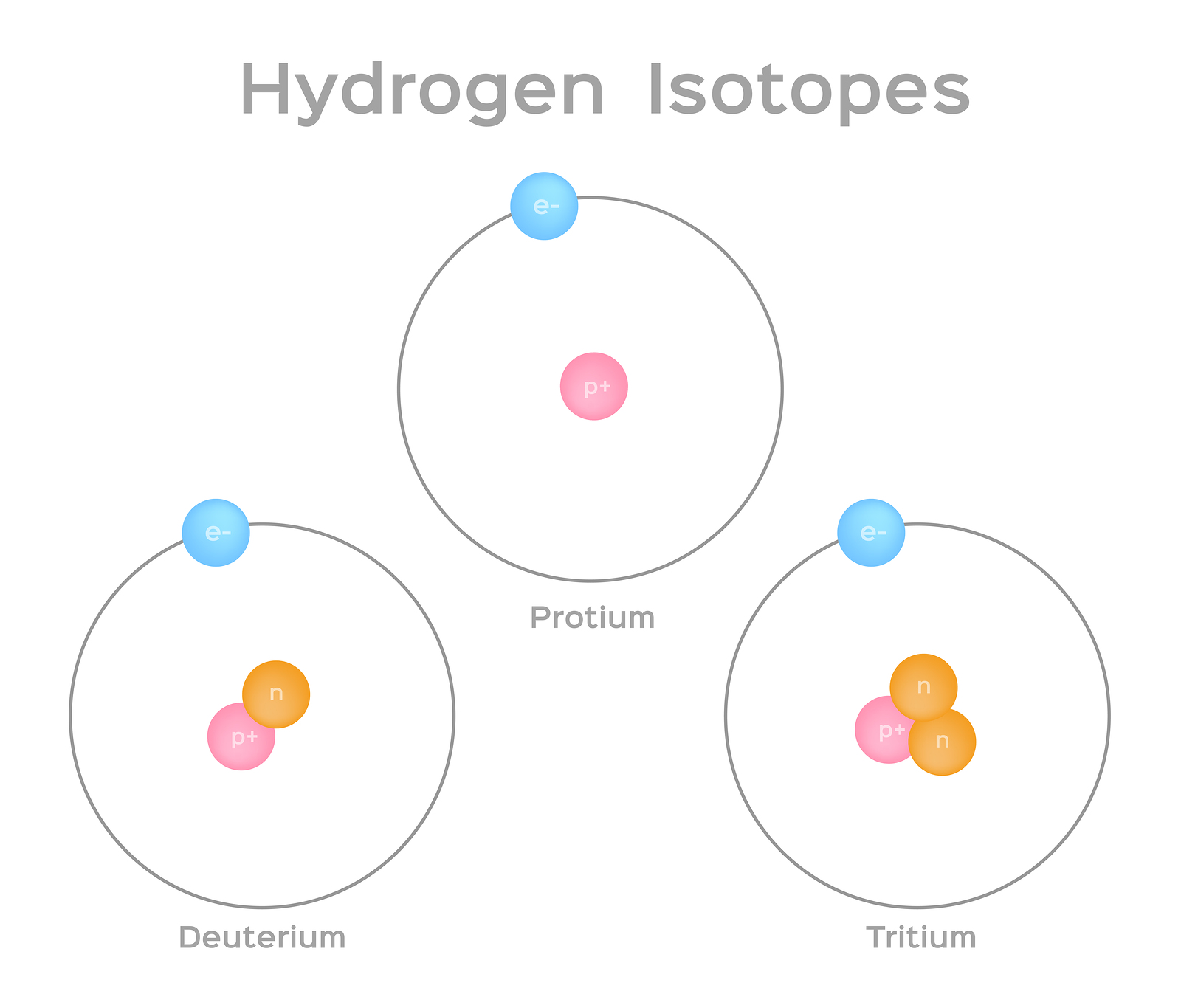 <ul><li><p>atoms of the <strong>same</strong> element with the <strong>same</strong> number of protons but <strong>different</strong> numbers of neutrons in the nuclei </p><ul><li><p><strong>same</strong> atomic number, <strong>different</strong> mass number </p></li></ul></li></ul><p></p>