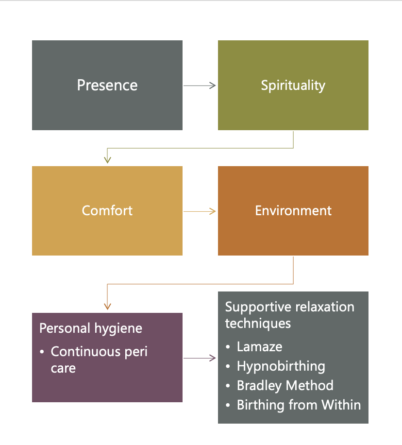 <p>Labor Support</p>