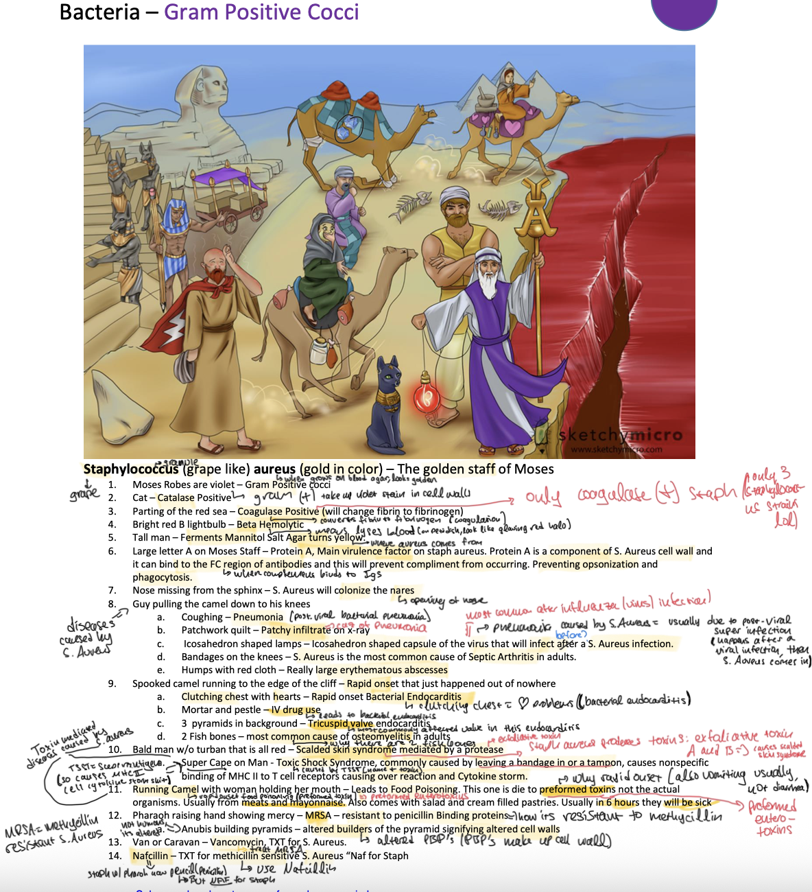knowt flashcard image