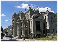 term image